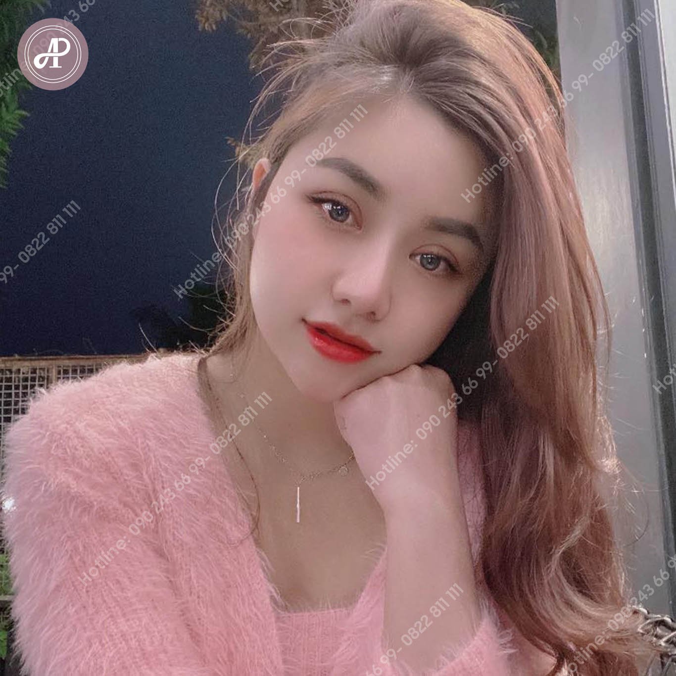 Nguyễn Trang 